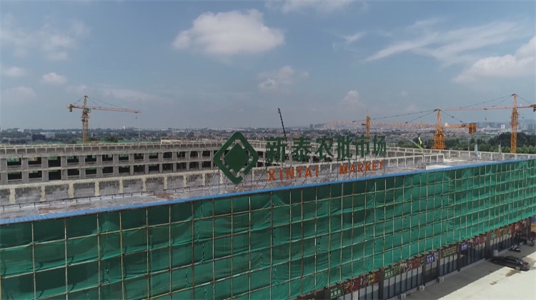 泰安新泰市加快推進(jìn)青云智慧冷鏈物流園建設(shè) 樓宇智能化工程施工全面展開